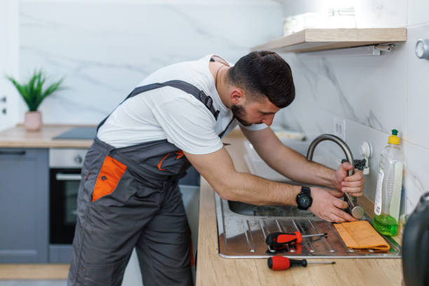 Best Clogged Drain Plumber  in Douglas, MI