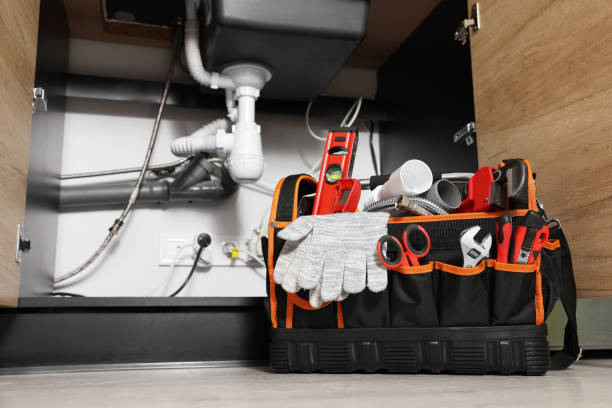 Best Leak Detection Services  in Douglas, MI