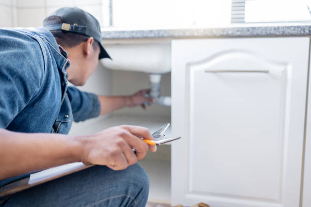 Best Plumbing Repair Near Me  in Douglas, MI