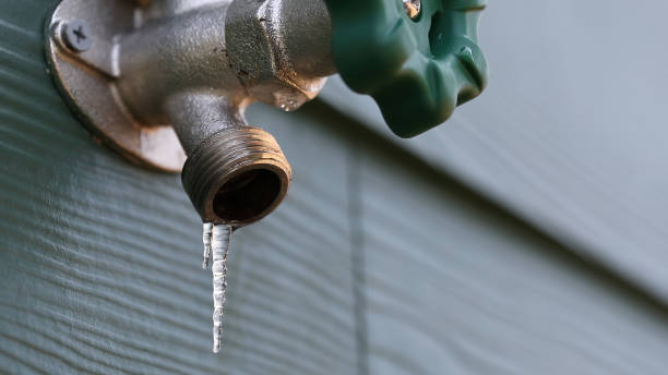 Best Gas Line Repair  in Douglas, MI